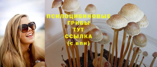 сатива Арсеньев