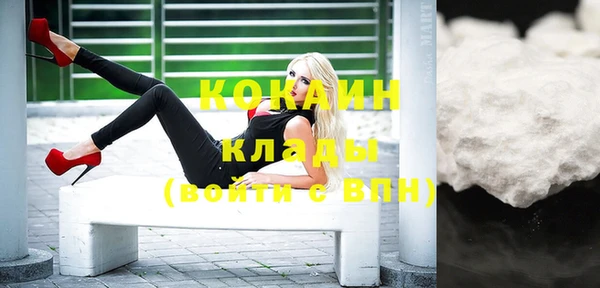 мдпв Каменногорск