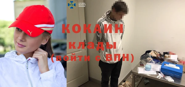 сатива Арсеньев