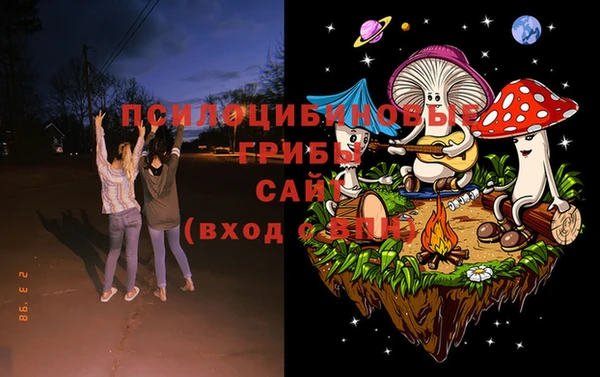 стафф Армянск