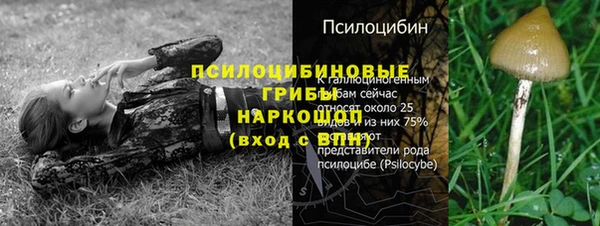 сатива Арсеньев