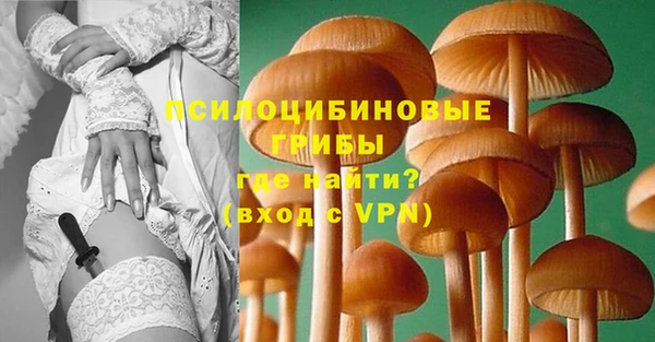 сатива Арсеньев