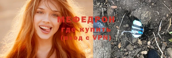 гидра Каменка